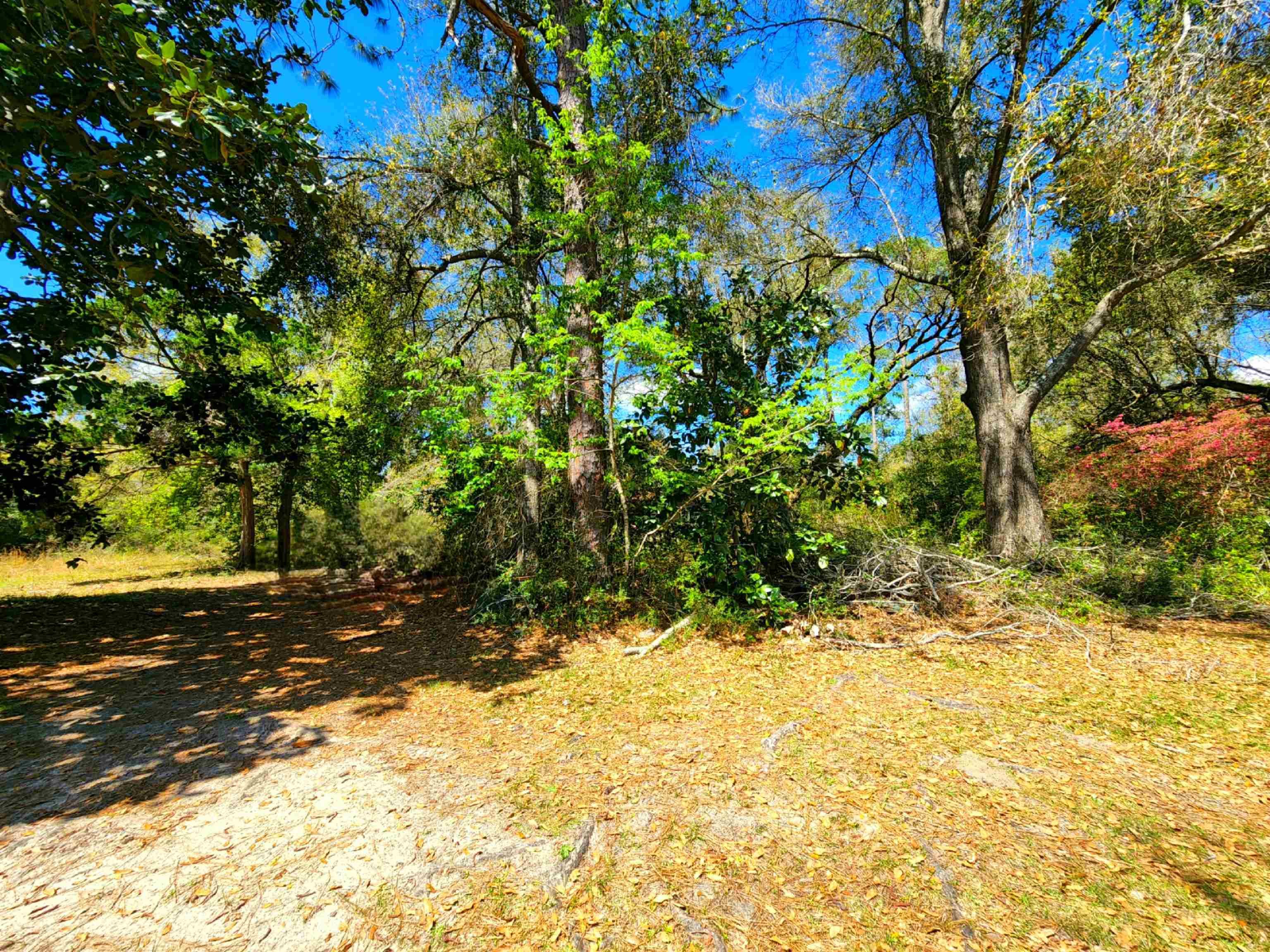 13315 North Perdido Street Lillian, AL 36549 - Photo 18 of 20