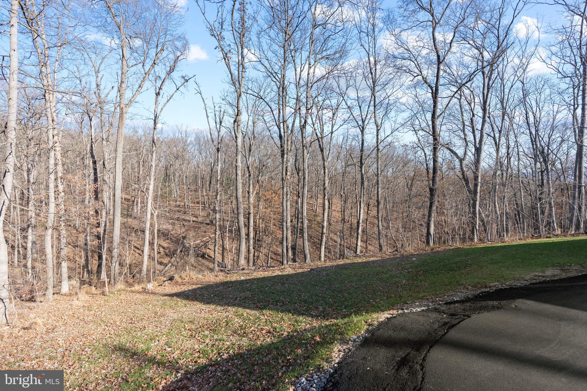185 Downing Farm Road Front Royal, VA 22630 - Photo 42 of 42
