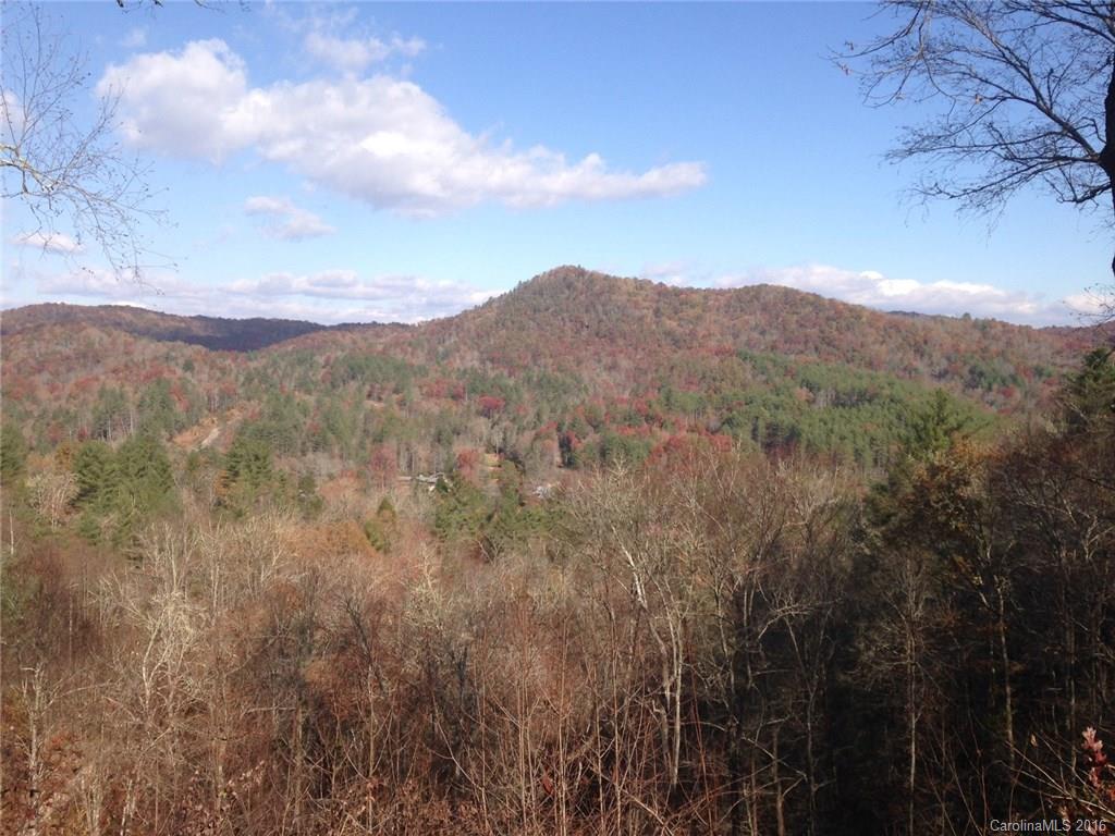 635 Apple Bee Road Brevard, NC 28712 - Photo 1 of 7 Gallery Image 1