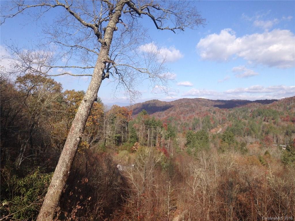 635 Apple Bee Road Brevard, NC 28712 - Photo 2 of 7 Gallery Image 2