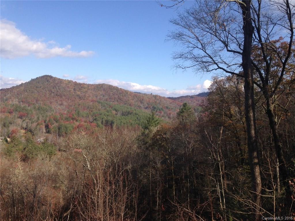 635 Apple Bee Road Brevard, NC 28712 - Photo 3 of 7 Gallery Image 3