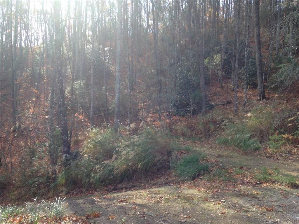 635 Apple Bee Road Brevard, NC 28712 - Photo 5 of 7 Gallery Image 5