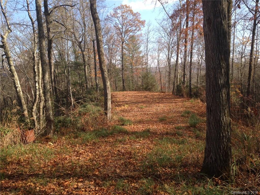 635 Apple Bee Road Brevard, NC 28712 - Photo 6 of 7 Gallery Image 6