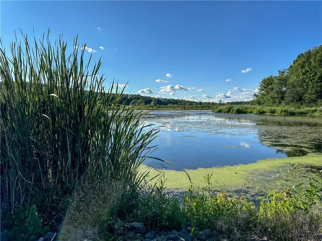 $419,900 | Kidder Road, Sherman, NY 14781