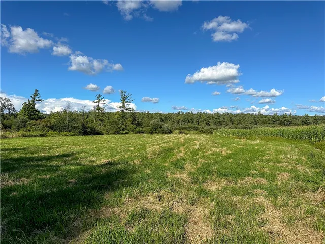 $419,900 | Kidder Road, Sherman, NY 14781