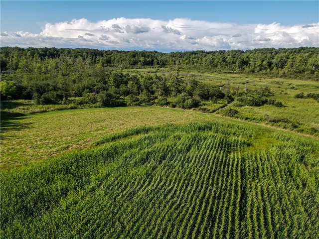 $419,900 | Kidder Road, Sherman, NY 14781