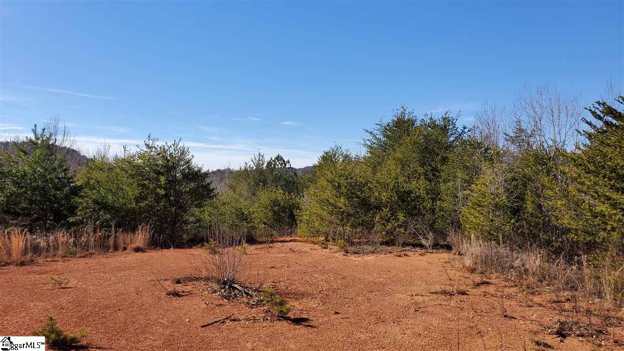 Brasstown Road Westminster, SC 29693 - Photo 4 of 10 Gallery Image 4