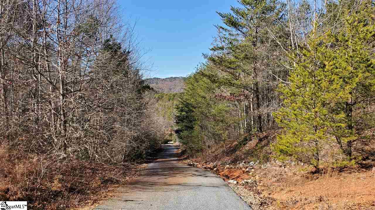 Brasstown Road Westminster, SC 29693 - Photo 5 of 10 Gallery Image 5
