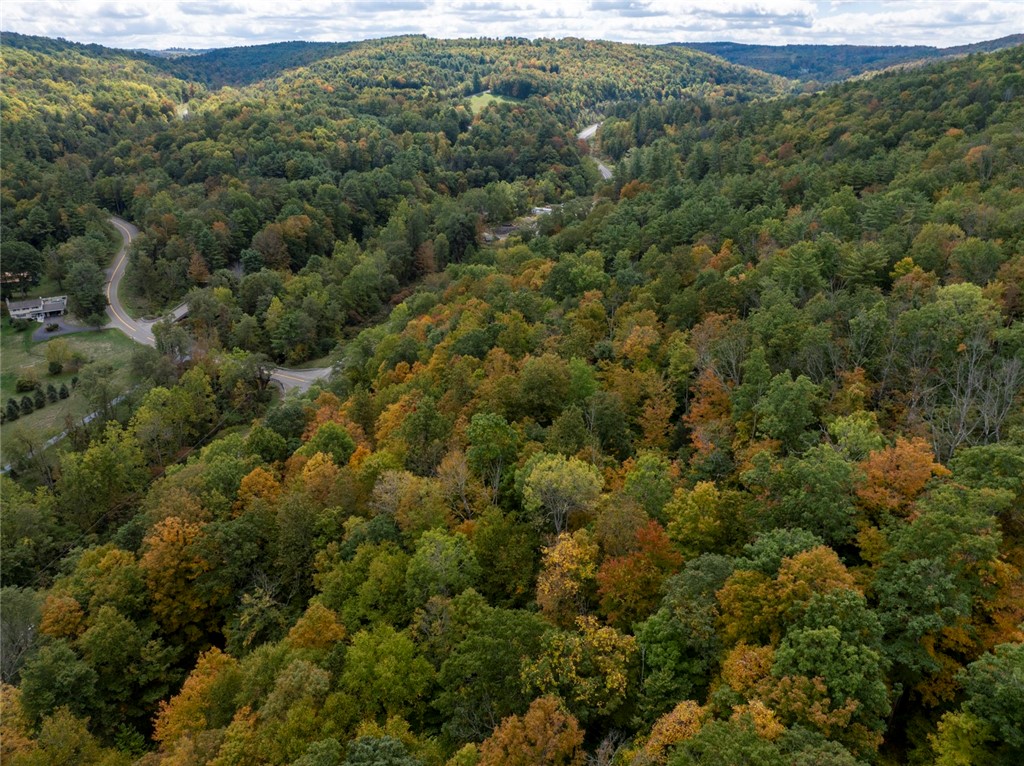 Caton Road Corning, NY 14830 - Photo 4 of 10