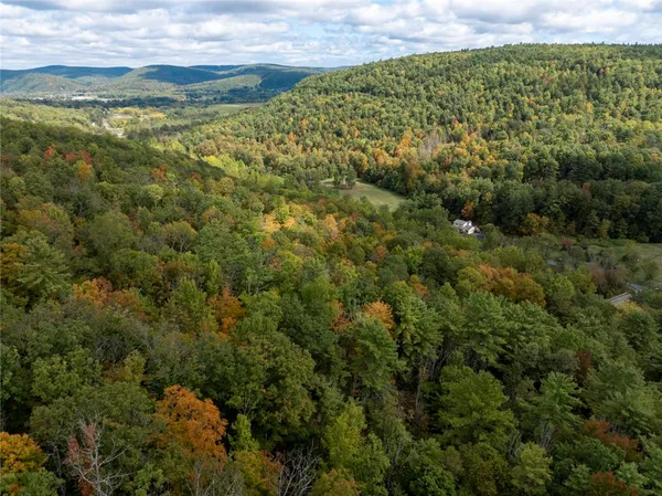 $45,000 | Caton Road, Corning, NY 14830