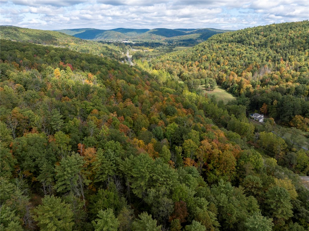 Caton Road Corning, NY 14830 - Photo 6 of 10