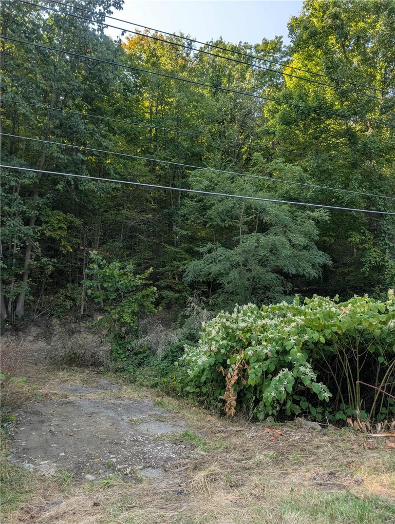 Caton Road Corning, NY 14830 - Photo 7 of 12