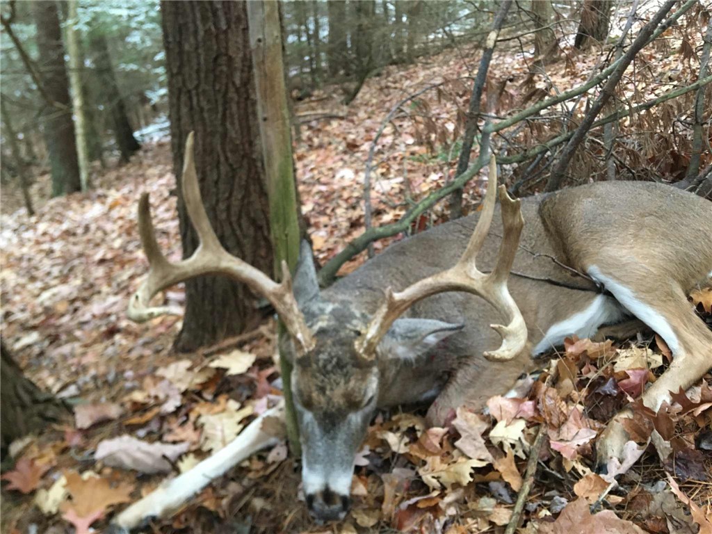 Caton Road Corning, NY 14830 - Photo 10 of 10