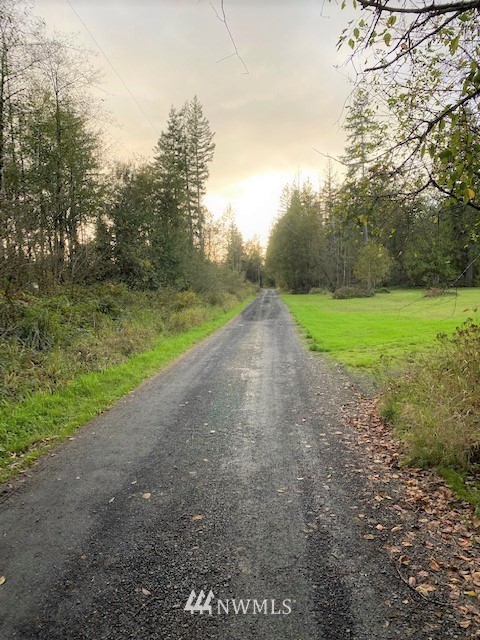0 Zandecki Road Napavine, WA 98532 - Photo 2 of 16