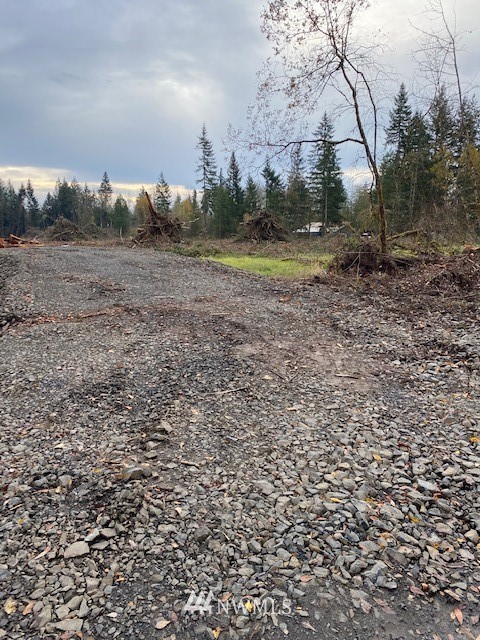 0 Zandecki Road Napavine, WA 98532 - Photo 16 of 16