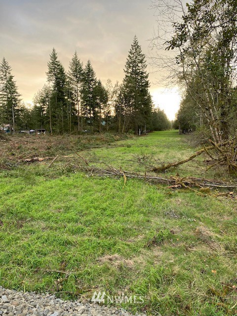 0 Zandecki Road Napavine, WA 98532 - Photo 5 of 16