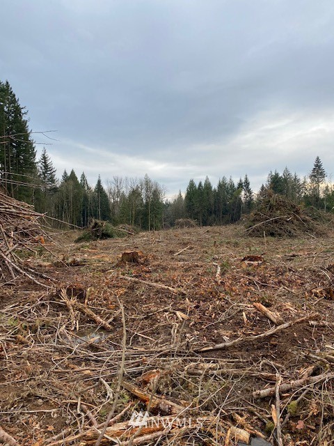 0 Zandecki Road Napavine, WA 98532 - Photo 8 of 16
