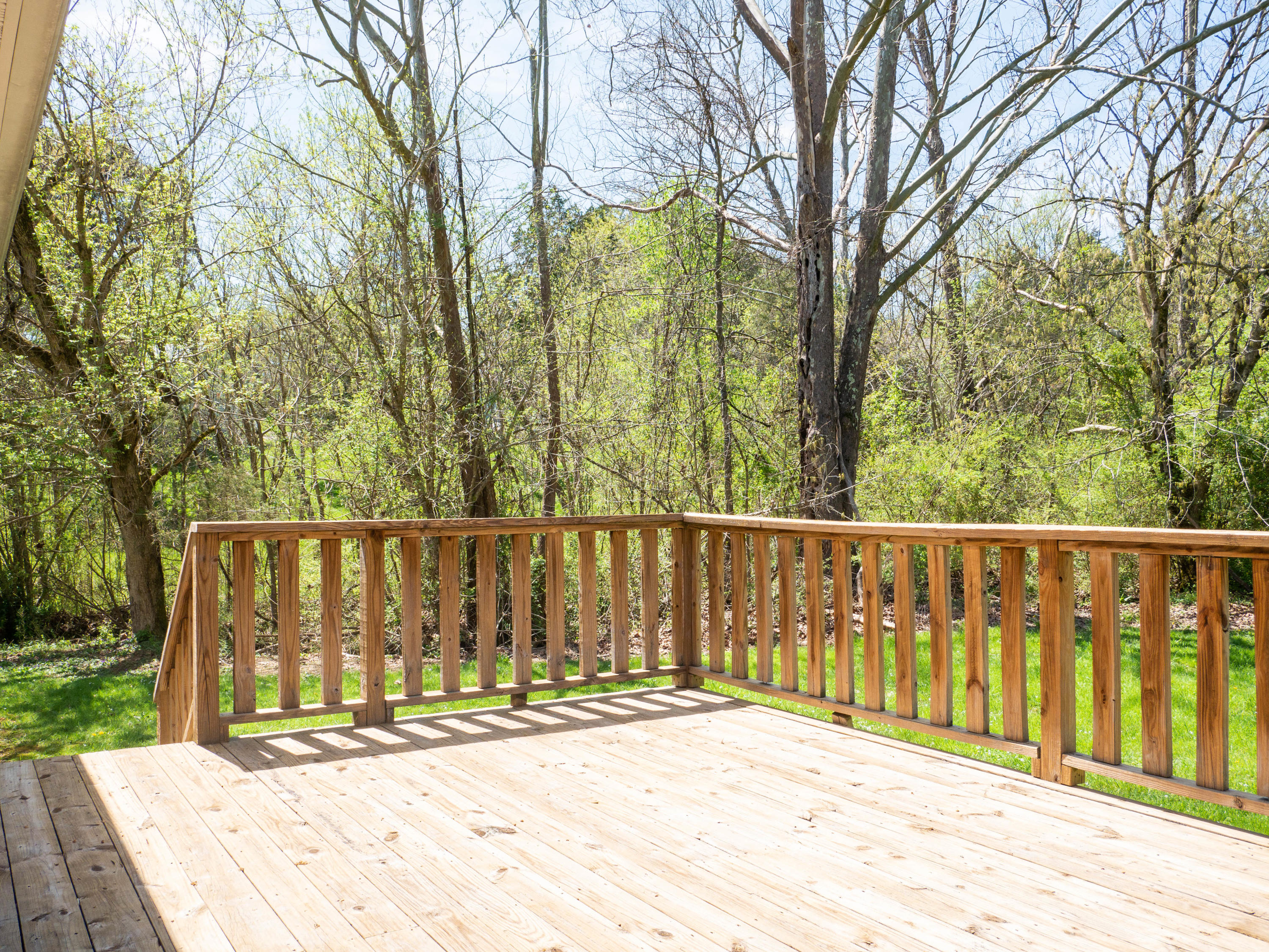 143 Meadow Breeze Road Corryton, TN 37721 - Photo 28 of 28 P1060236