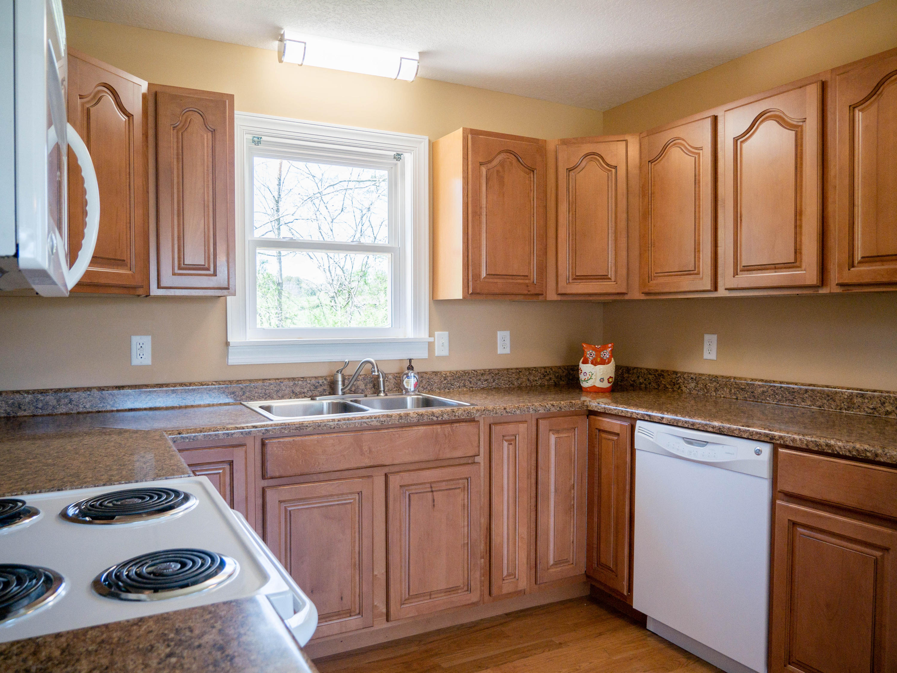 143 Meadow Breeze Road Corryton, TN 37721 - Photo 10 of 28 P1060243