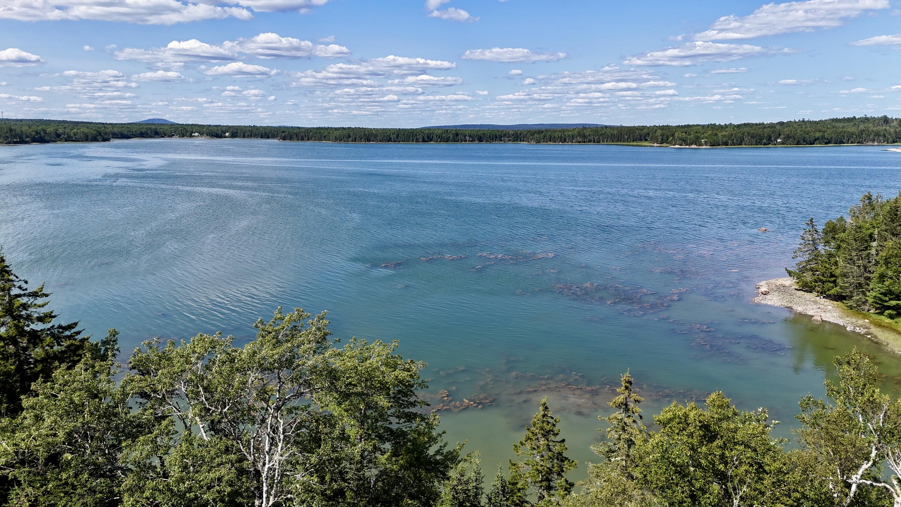 0 Periwinkle Lane Brooklin, ME 04616 - Photo 12 of 13 Photo Aug 01 2025, 3 29 30 PM