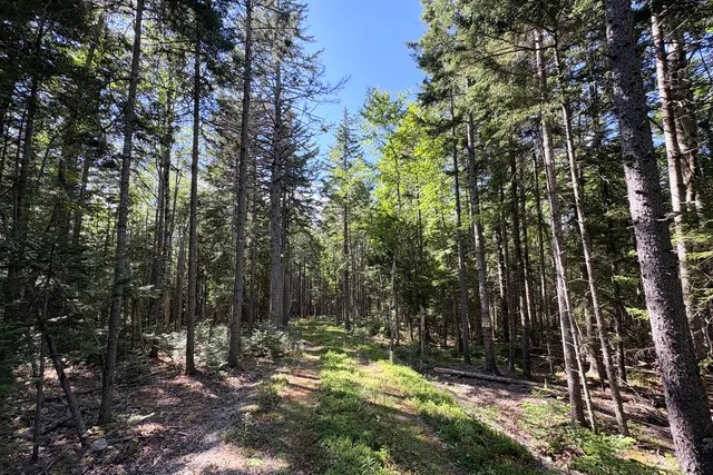 $845,000 | 0 Periwinkle Lane, Brooklin, ME 04616