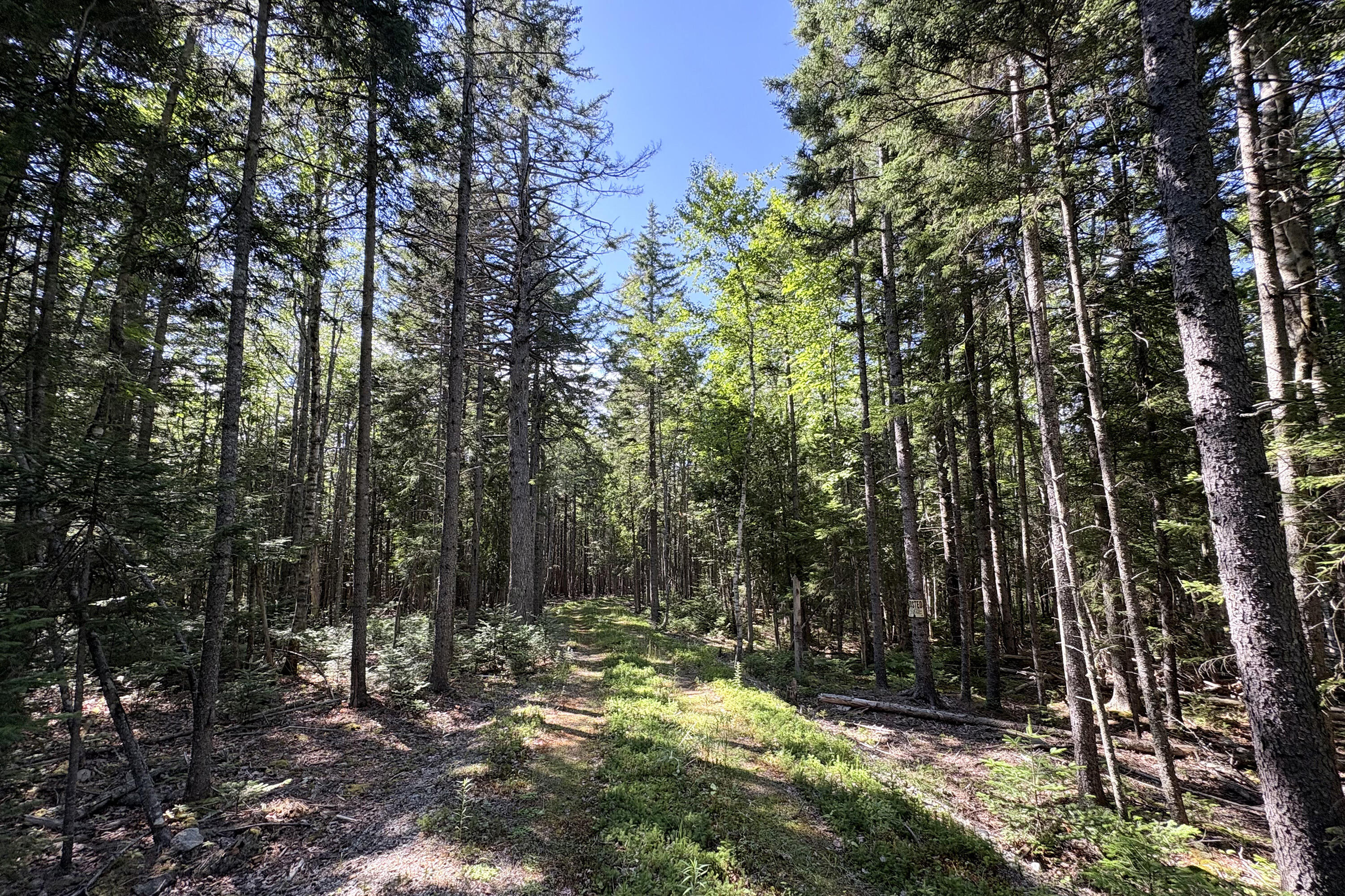 0 Periwinkle Lane Brooklin, ME 04616 - Photo 13 of 13 Photo Aug 01 2025, 3 32 13 PM