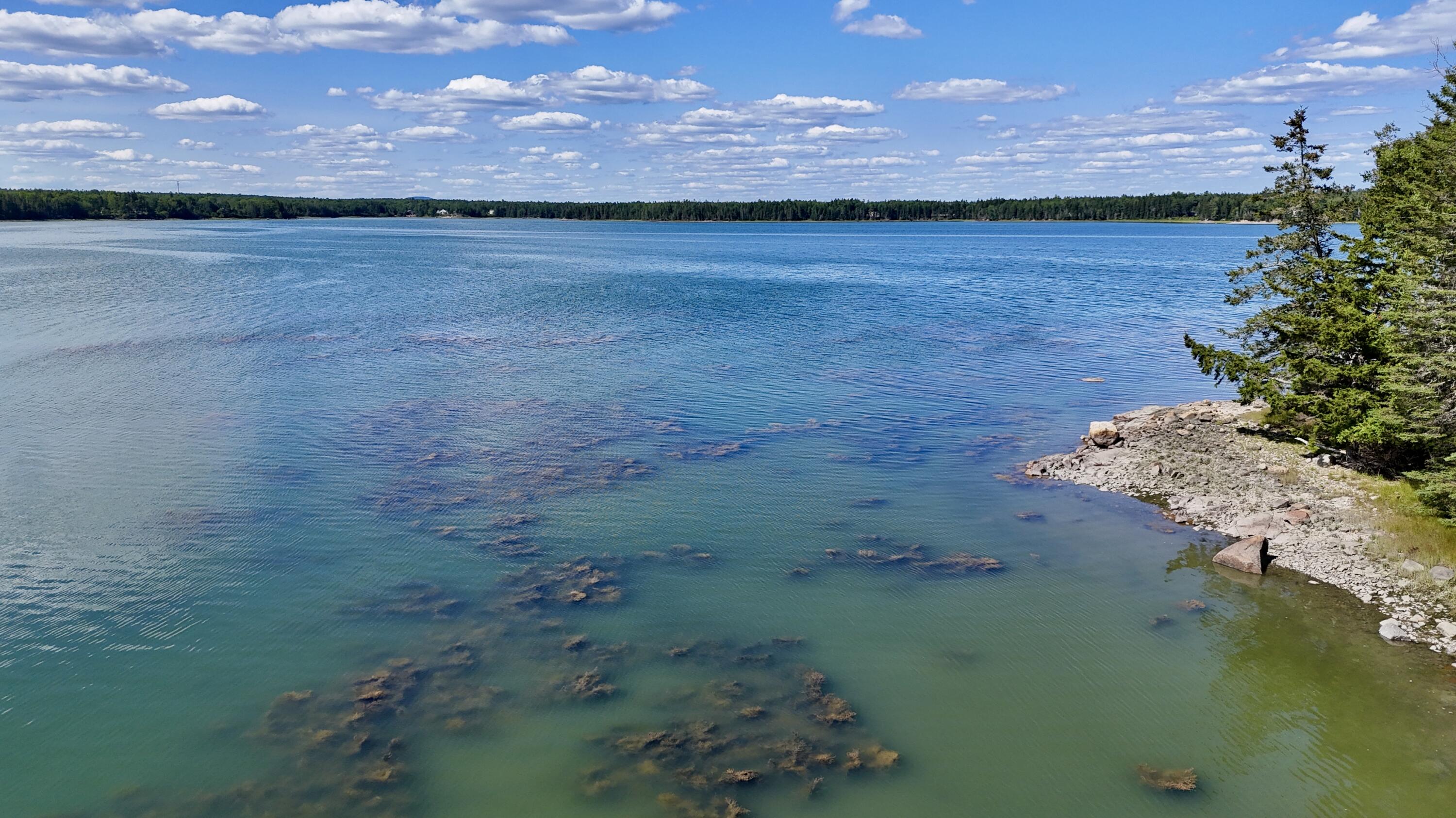 0 Periwinkle Lane Brooklin, ME 04616 - Photo 3 of 13 3