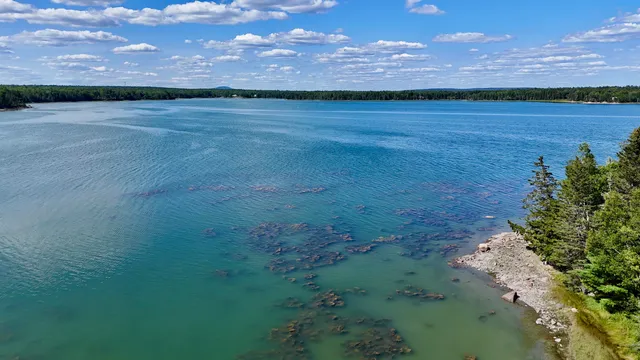 $845,000 | 0 Periwinkle Lane, Brooklin, ME 04616