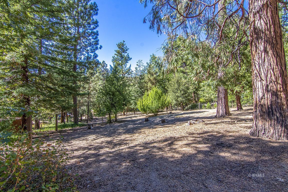Tahquitz Road Idyllwild, CA 92549 - Photo 1 of 11 a view of a tree in the middle of a yard