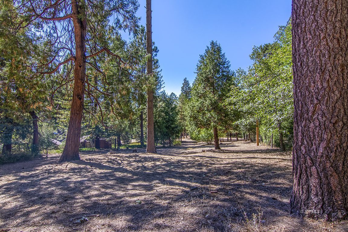 Tahquitz Road Idyllwild, CA 92549 - Photo 2 of 11 a backyard of a house with lots of green space