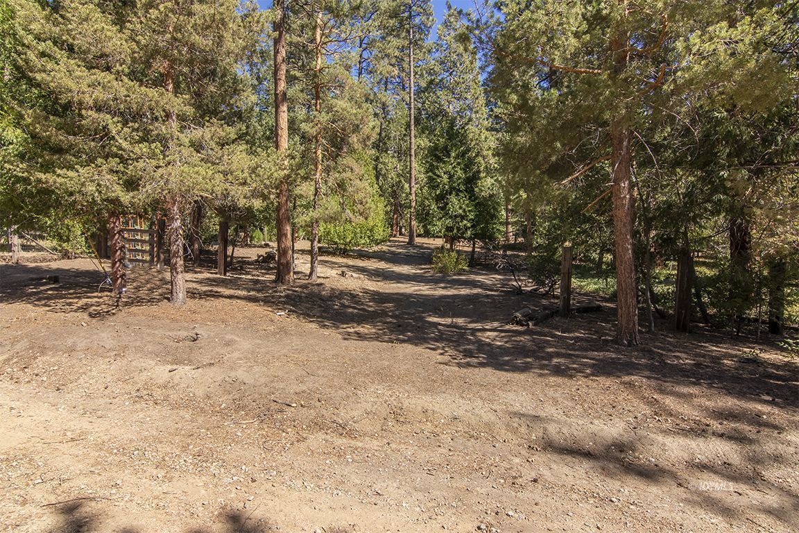 Tahquitz Road Idyllwild, CA 92549 - Photo 3 of 11 a view of road with trees