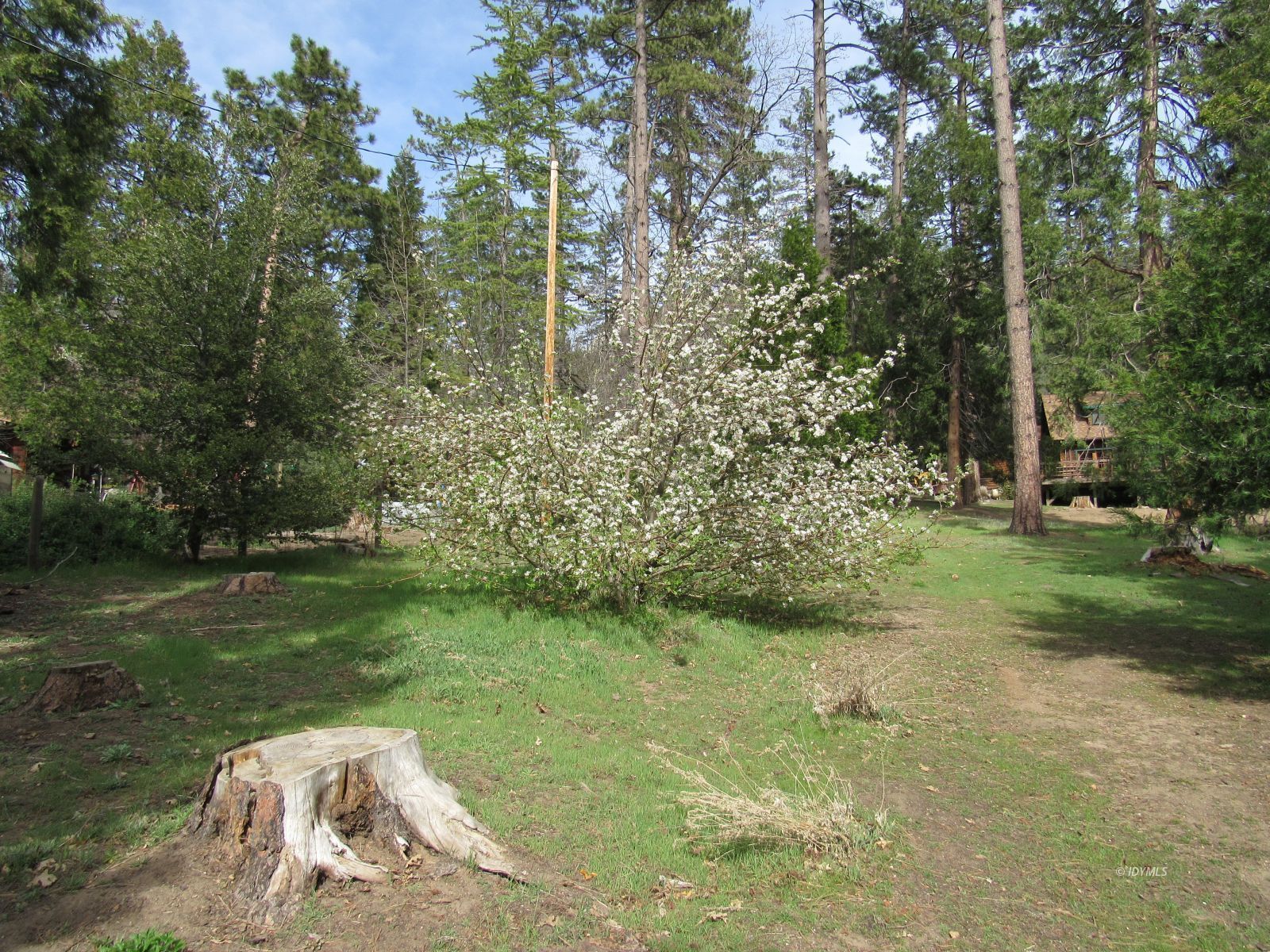 Tahquitz Road Idyllwild, CA 92549 - Photo 4 of 11 a view of a backyard