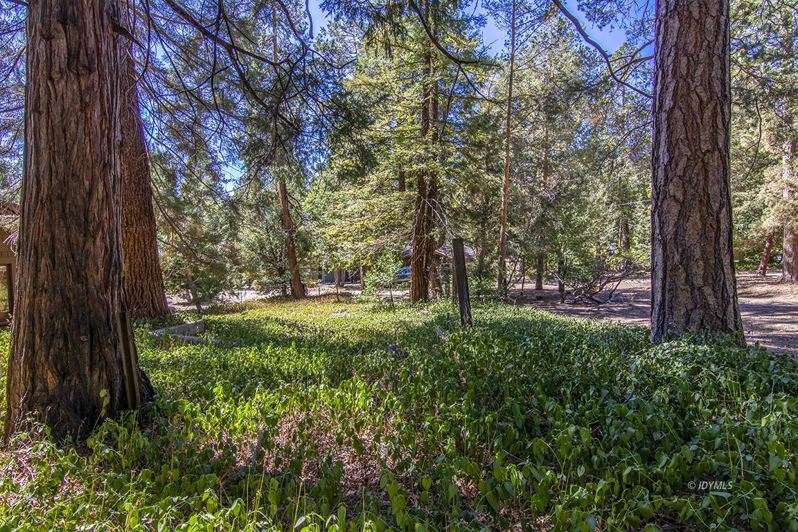 Tahquitz Road Idyllwild, CA 92549 - Photo 7 of 11 a view of outdoor space with a garden