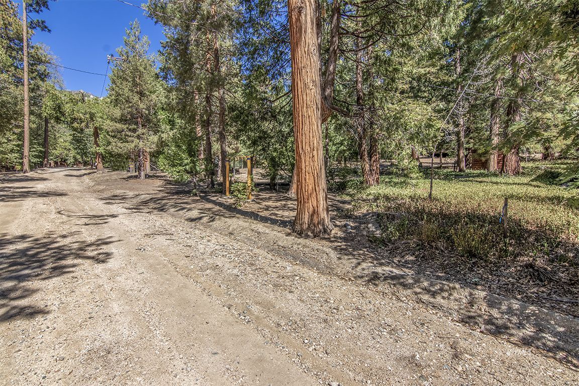 Tahquitz Road Idyllwild, CA 92549 - Photo 9 of 11 a view of a yard with plants and trees