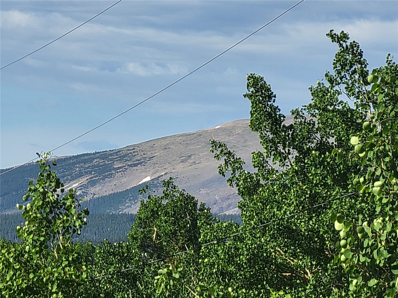 1191 Quartzville Road Alma, CO 80420 - Photo 2 of 43