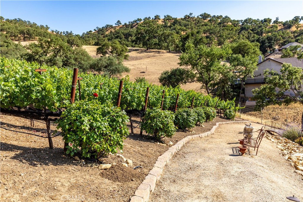9942 Sunfish Circle Paso Robles, CA 93446 - Photo 65 of 75