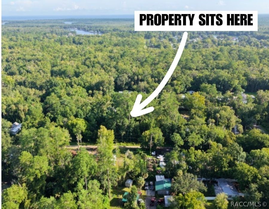 0 Gobbler Road Astor, FL 32102 - Photo 10 of 34 Gallery Image 10