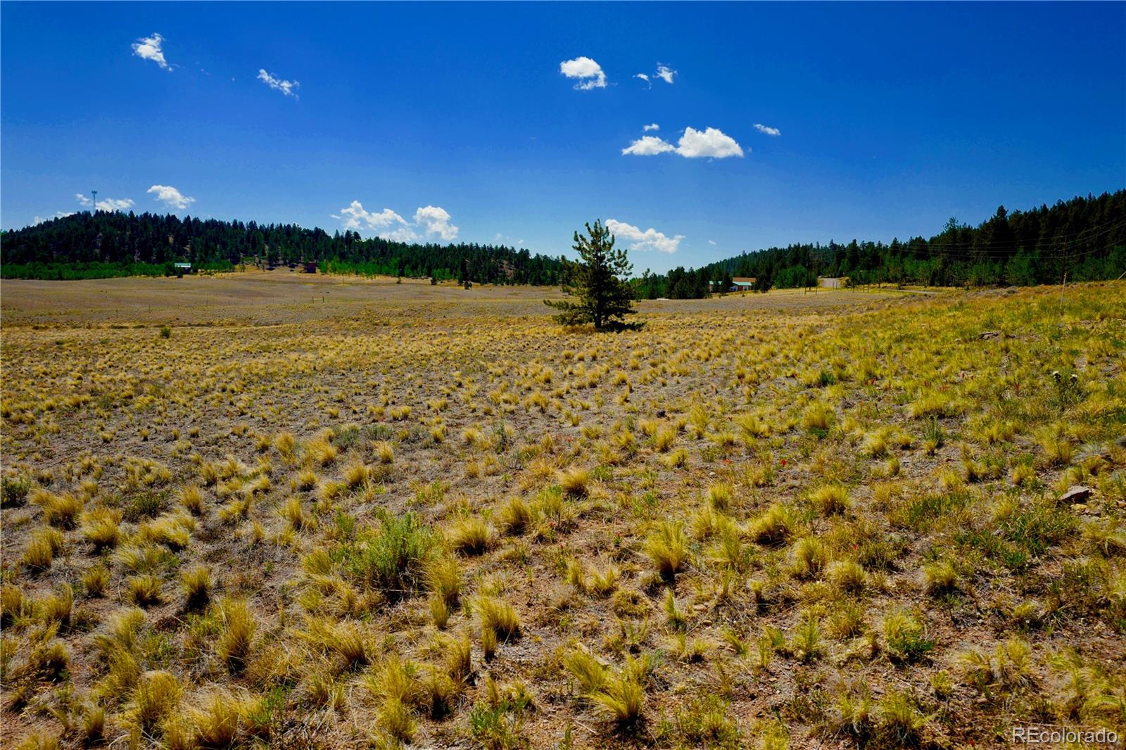 71 Sombrero Road Hartsel, CO 80449 - Photo 2 of 6