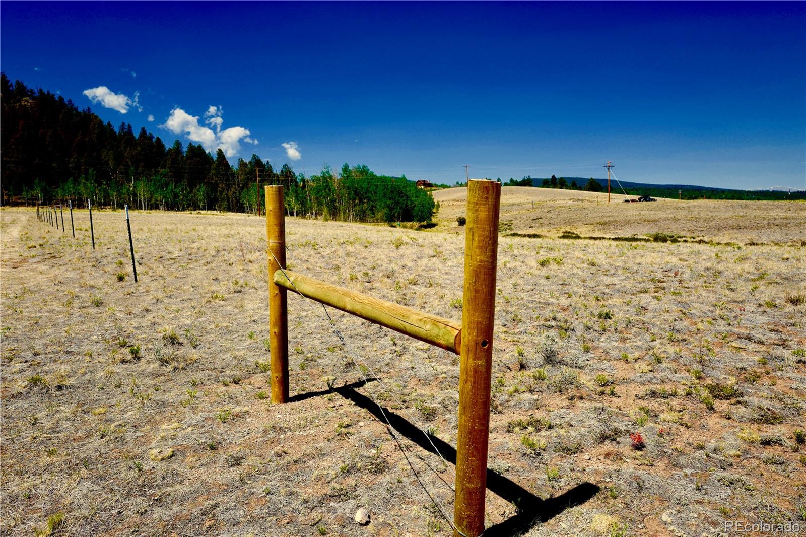 71 Sombrero Road Hartsel, CO 80449 - Photo 4 of 6