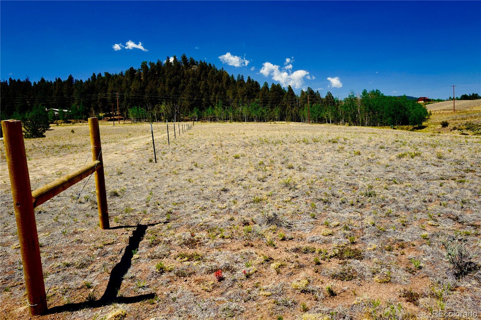 71 Sombrero Road Hartsel, CO 80449 - Photo 6 of 6