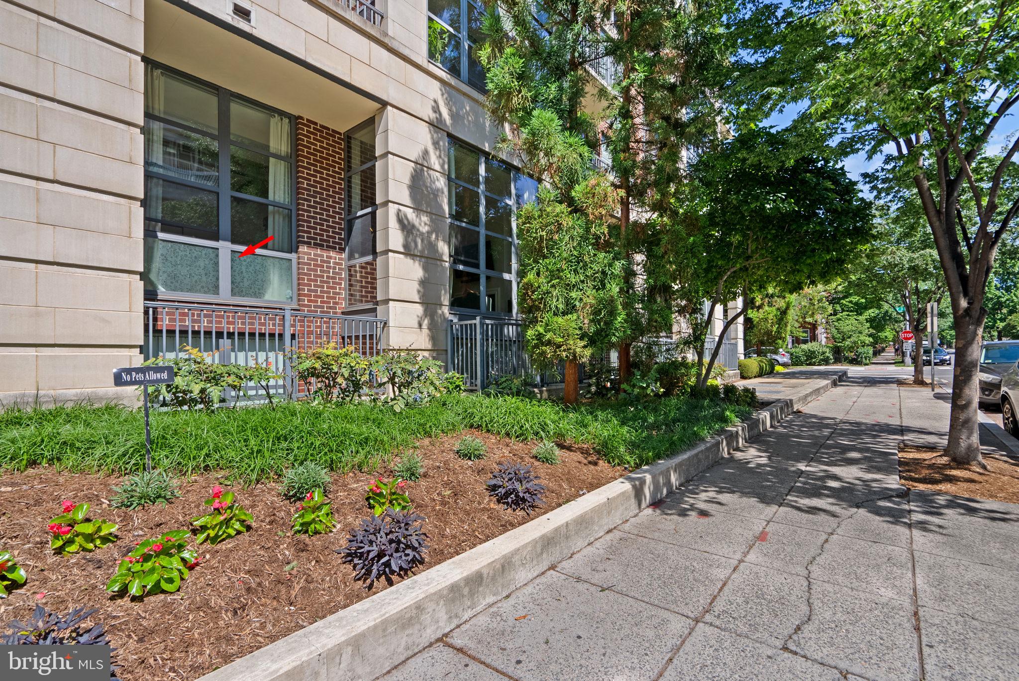 2020 12th Street Northwest, Unit 108 Washington, DC 20009 - Photo 4 of 35 Unit #108- Above Street Level