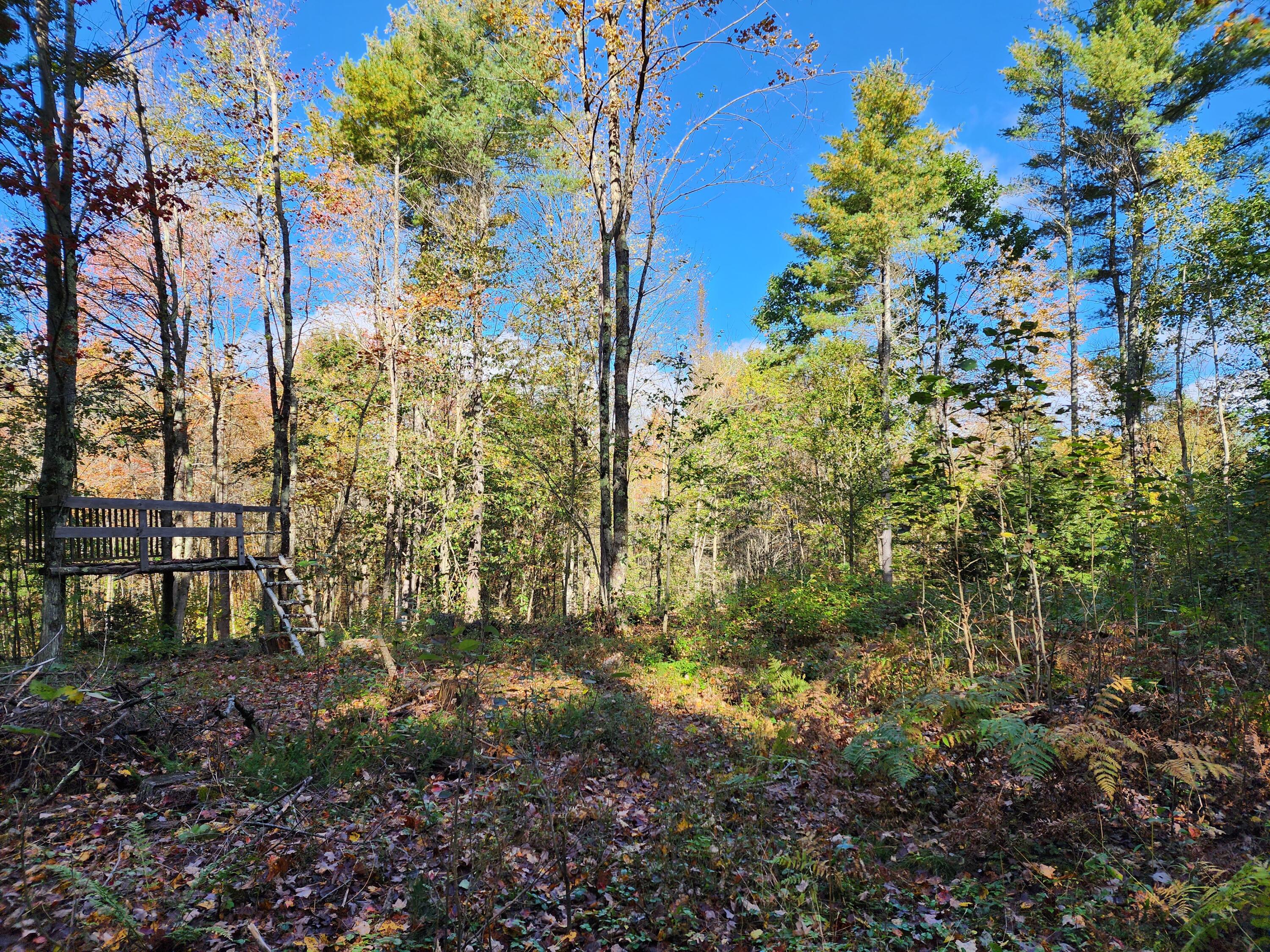 378 Strickland Loop Road Livermore Falls, ME 04254 - Photo 14 of 40 20231009_102655