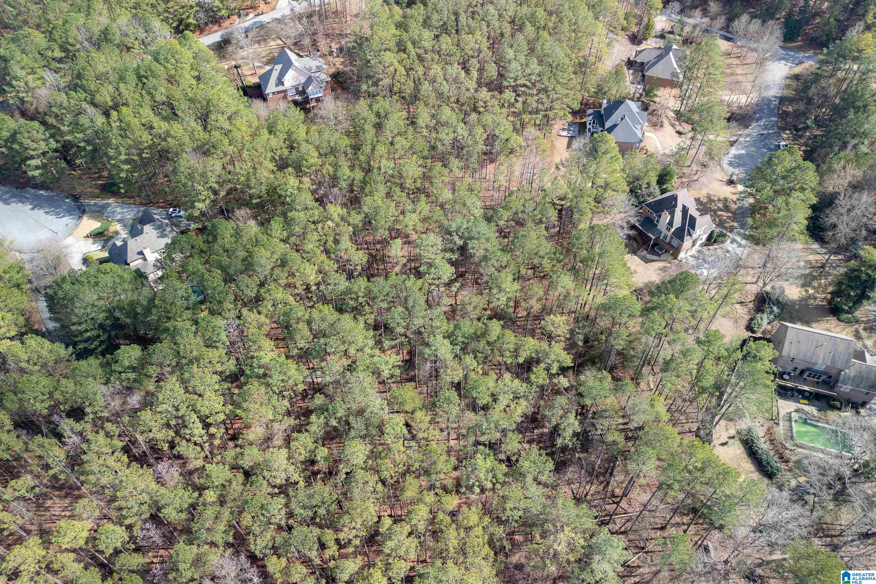 104 Windsor Trail Pelham, AL 35124 - Photo 63 of 79