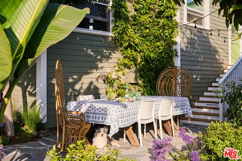 a view of a garden with plants