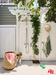 a picture of flowers