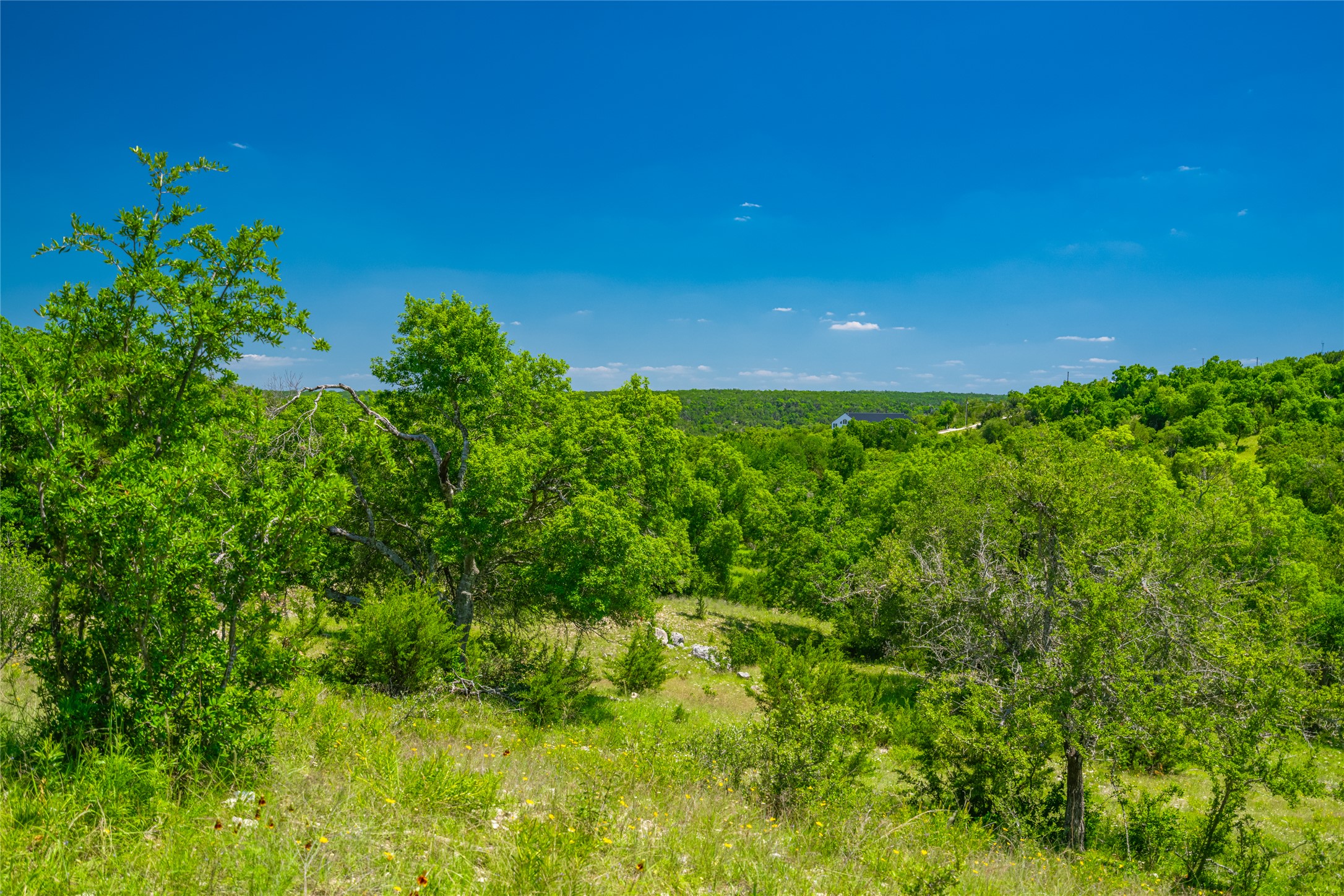 0 Trails End Road Leander, TX 78641 - Photo 38 of 40 a view of a yard