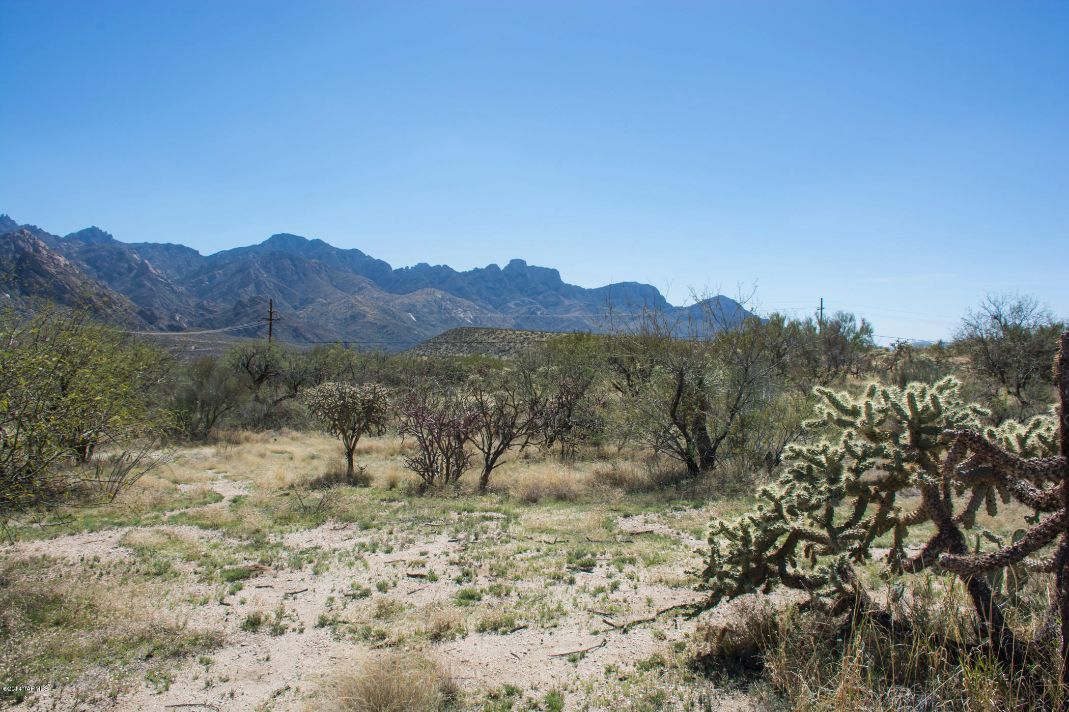 14442 North Swan Road Tucson, AZ 85739 - Photo 12 of 24