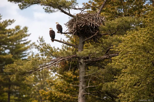 $1,189,000 | 238 Lake View Drive, Highland Lake, NY 12743