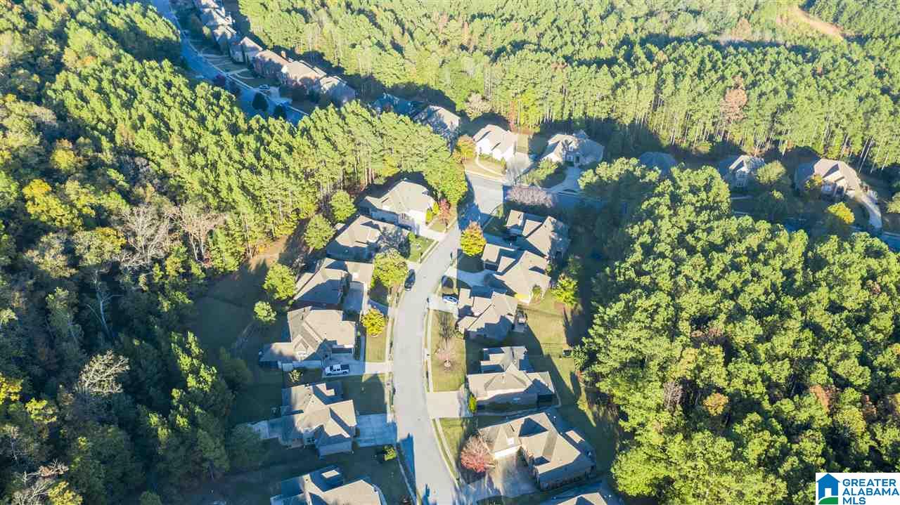 1304 Caliston Way Pelham, AL 35124 - Photo 9 of 45