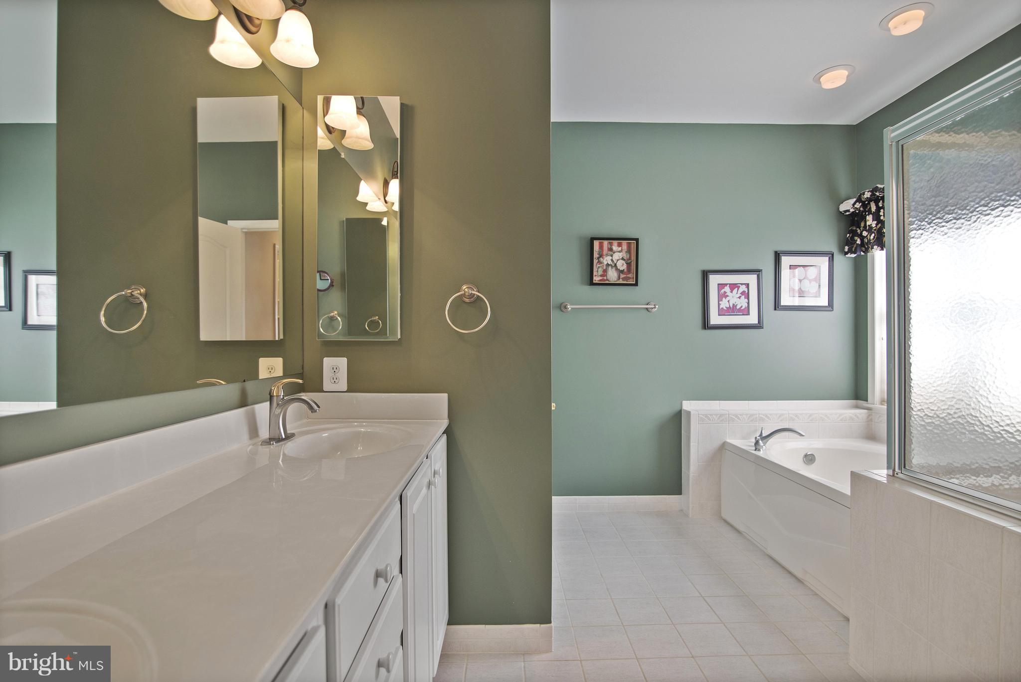 2649 Brook Valley Road Frederick, MD 21701 - Photo 18 of 30 master-spa bath w/ large shower, soaking tub